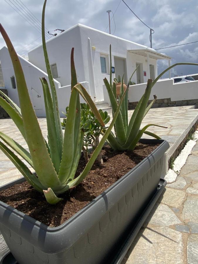 Sing And Blossom Ferienhaus Mykonos Town